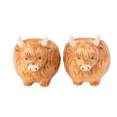 Candlelight Home Set of 2 3D Egg Cups Highland Cow 6PK