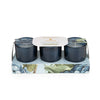Candlelight Home SET OF 3 VOTIVE CANDLES HYDRANGEA & JASMINE