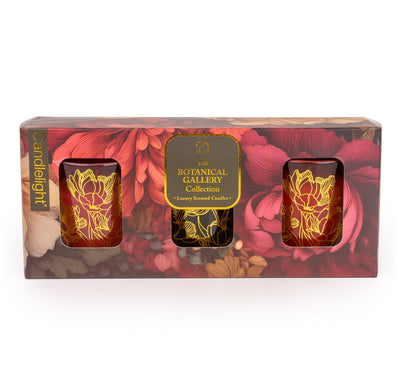 Candlelight Home Set of 3 Votives Botanical Gallery 6PK
