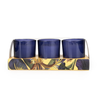 Candlelight Home SET OF 3 VOTIVES IRIS & TONKA BEAN - IRIS & TONKA BEAN SCENT