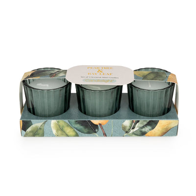 Candlelight Home SET OF 3 VOTIVES PEAR TREE & BAY LEAF - 5% PEAR TREE & BAY LEAF