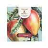 Candlelight Home SET OF 9 TEALIGHTS MANGO & HONEY - 5% MANGO & HONEY SCENT