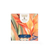 Candlelight Home SET OF 9 TEALIGHTS PARADISE FLOWER & MANGO - 5% PARADISE FLOWER & MANGO SCENT