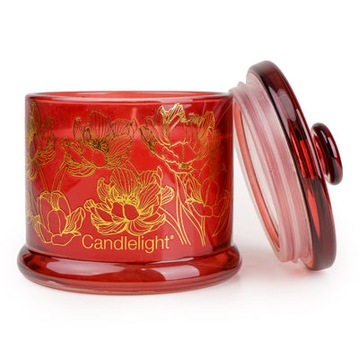 Candlelight Home Small Glass Jar Gold Electroplated Botanical Gallery 6PK