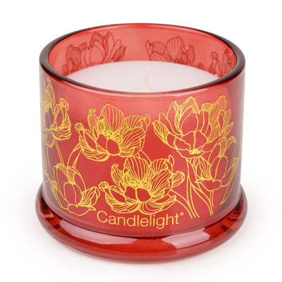 Candlelight Home Small Glass Jar Gold Electroplated Botanical Gallery 6PK