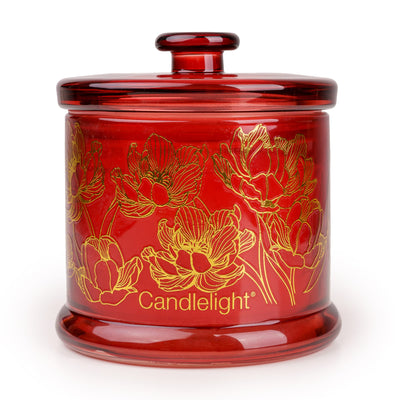 Candlelight Home Small Glass Jar Gold Electroplated Botanical Gallery 6PK