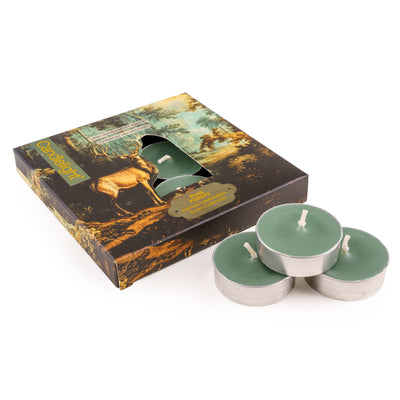 Candlelight Home tea lights Set of 9 Tealights - Pine Forest 6pk