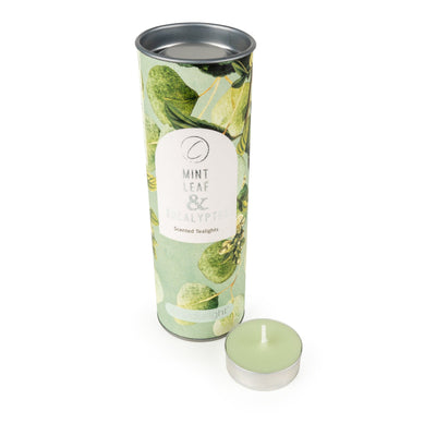 Candlelight Home Tealights 9 Pack Tealights - Mint Leaf & Eucalyptus 12pk