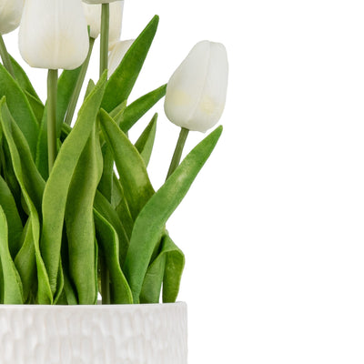 Candlelight Home Tulips in Textured Pot- White 6pk