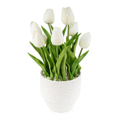 Candlelight Home Tulips in Textured Pot- White 6pk