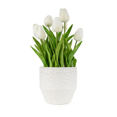 Candlelight Home Tulips in Textured Pot- White 6pk