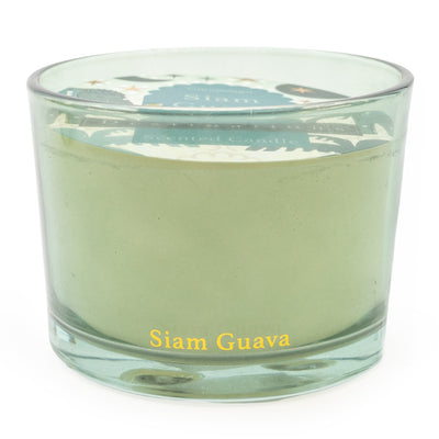 Candlelight Home TWO WICK CANDLE 'SIAM GUAVA' THAI FLOWER MARKET SCENT