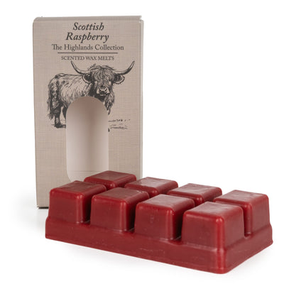 Candlelight Home Wax Melts 8Pack Wax Melts - Scottish Raspberry 12pk