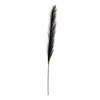 Candlelight Home 78cm Single Pampas Grass Black