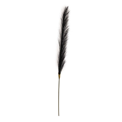 Candlelight Home 78cm Single Pampas Grass Black