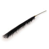 Candlelight Home 78cm Single Pampas Grass Black