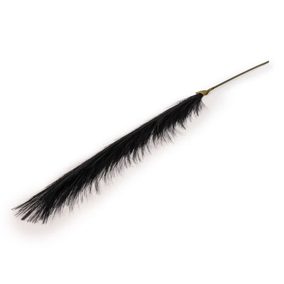 Candlelight Home 78cm Single Pampas Grass Black