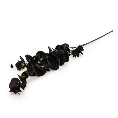 Candlelight Home 83cm Eucalyptus Black