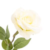 Candlelight Home Artificial Flowers Single Stem Faux Open Rose Cream 54 cm Tall 10PK