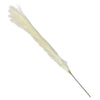Candlelight Home Artificial Flowers Single Stem Faux Pampas Grass White 78cm Tall 10PK