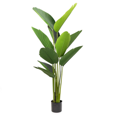 Candlelight Home Artificial Plants 150CM Artificial Streliztia Plant 1PK