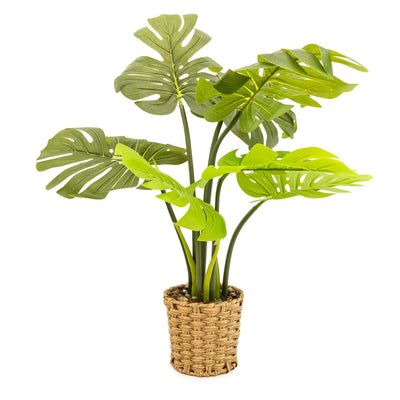Candlelight Home Artificial Plants Artificial Cheese Plant in Wicker Pot 74cm 1PK