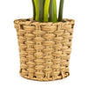 Candlelight Home Artificial Plants Artificial Cheese Plant in Wicker Pot 74cm 1PK
