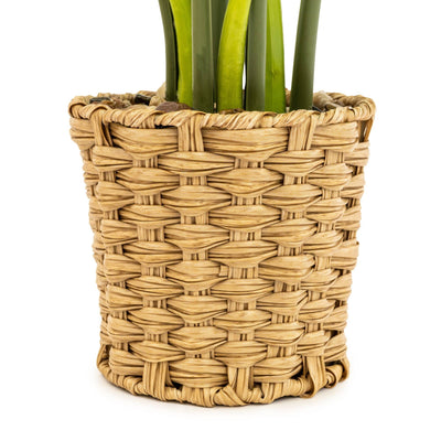 Candlelight Home Artificial Plants Artificial Cheese Plant in Wicker Pot 74cm 1PK