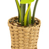 Candlelight Home Artificial Plants Artificial Cheese Plant in Wicker Pot 74cm 1PK