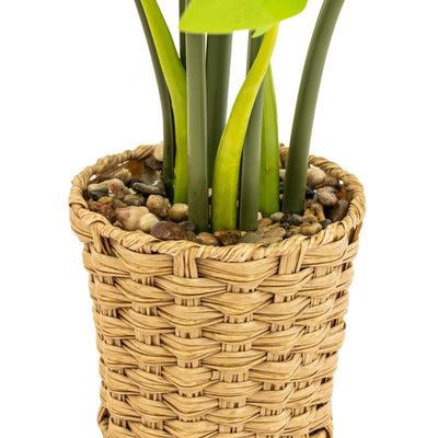 Candlelight Home Artificial Plants Artificial Cheese Plant in Wicker Pot 74cm 1PK