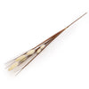 Candlelight Home Artificial Plants Cream Foxtail 73cm 12PK