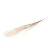 Candlelight Home Artificial Plants Cream Single Wild Grass 118cm 48PK