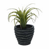 Candlelight Home Artificial Plants & Flowers 14CM Airplant in Dimpled Cement Pot (MO) 1PK