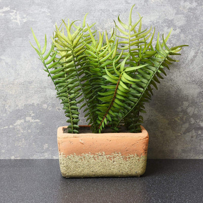 Candlelight Home Artificial Plants & Flowers 28CM Fern in Cement Pot (MO) 1PK