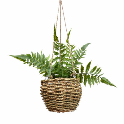 Candlelight Home Artificial Plants & Flowers Fern in Hanging Rattan Basket (MO) 1PK