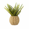 Candlelight Home Artificial Plants & Flowers Fern in Round Rattan Pot (MO) 1PK