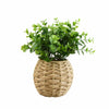 Candlelight Home Artificial Plants & Flowers Herbs in Round Rattan Pot (MO) 1PK