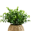 Candlelight Home Artificial Plants & Flowers Herbs in Round Rattan Pot (MO) 1PK