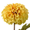 Candlelight Home Artificial Plants & Flowers Single Stem Faux Dahlia Ochre 60cm Tall