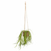 Candlelight Home Artificial Plants & Flowers Spider Plant in Rattan Basket with Rope Hanger (MO) 1PK