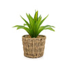 Candlelight Home Artificial Plants & Flowers Succulent in Seagrass Basket (MO) 1PK