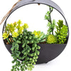 Candlelight Home Artificial Plants & Flowers Succulents in Black Round Metal Hanging Pot (MO) 1PK