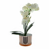 Candlelight Home Artificial Plants & Flowers The Flower Patch Cream Orchid in Glass Pot 40cm 4PK