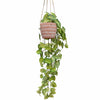 Candlelight Home Artificial Plants & Flowers Trailing Ficus Plant in Hanging Terracotta Pot (MO) 1PK