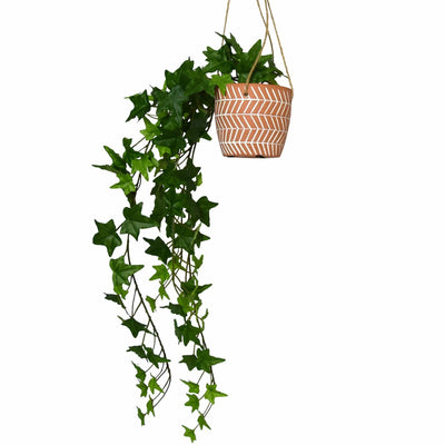 Candlelight Home Artificial Plants & Flowers Trailing Ivy Plant in Ceramic Pot (MO) 1PK