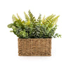 Candlelight Home Artificial Plants Green Ferns In Seagrass Basket 30cm 4PK