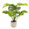 Candlelight Home Artificial Plants Large Cheese Plant in Round Cement Pot 50cm 1PK