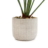 Candlelight Home Artificial Plants Large Cheese Plant in Round Cement Pot 50cm 1PK