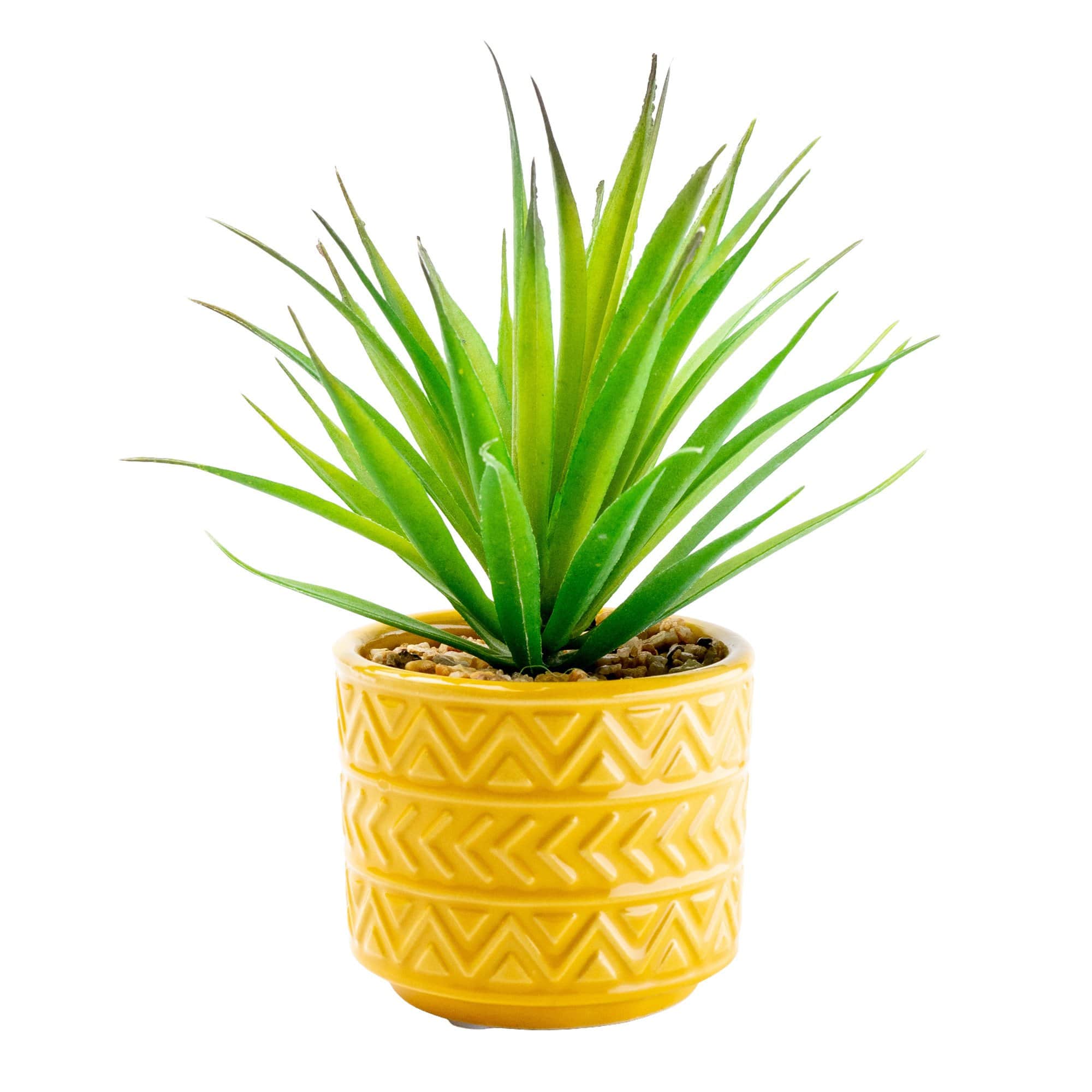 Spikey Succulent in Ceramic Pot with Aztec Design Ochre 16cm 12PK