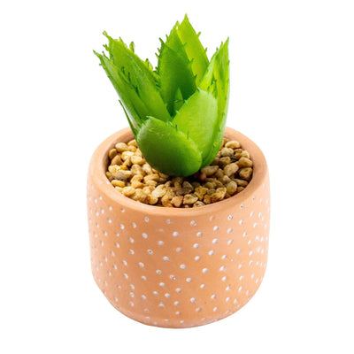 Candlelight Home Artificial Plants Spikey Succulent in Spotty Cement Pot Red 12cm 6PK